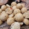 Carp Fishing Bait UK