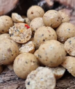Carp Fishing Bait UK