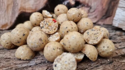 Carp Fishing Bait UK