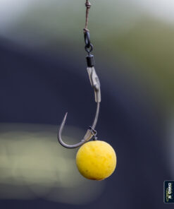 'PRE-TIEDZ' RONNIE RIG